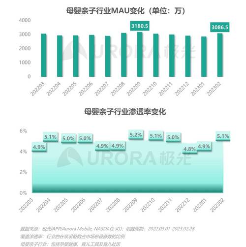 代孕成功率占多少